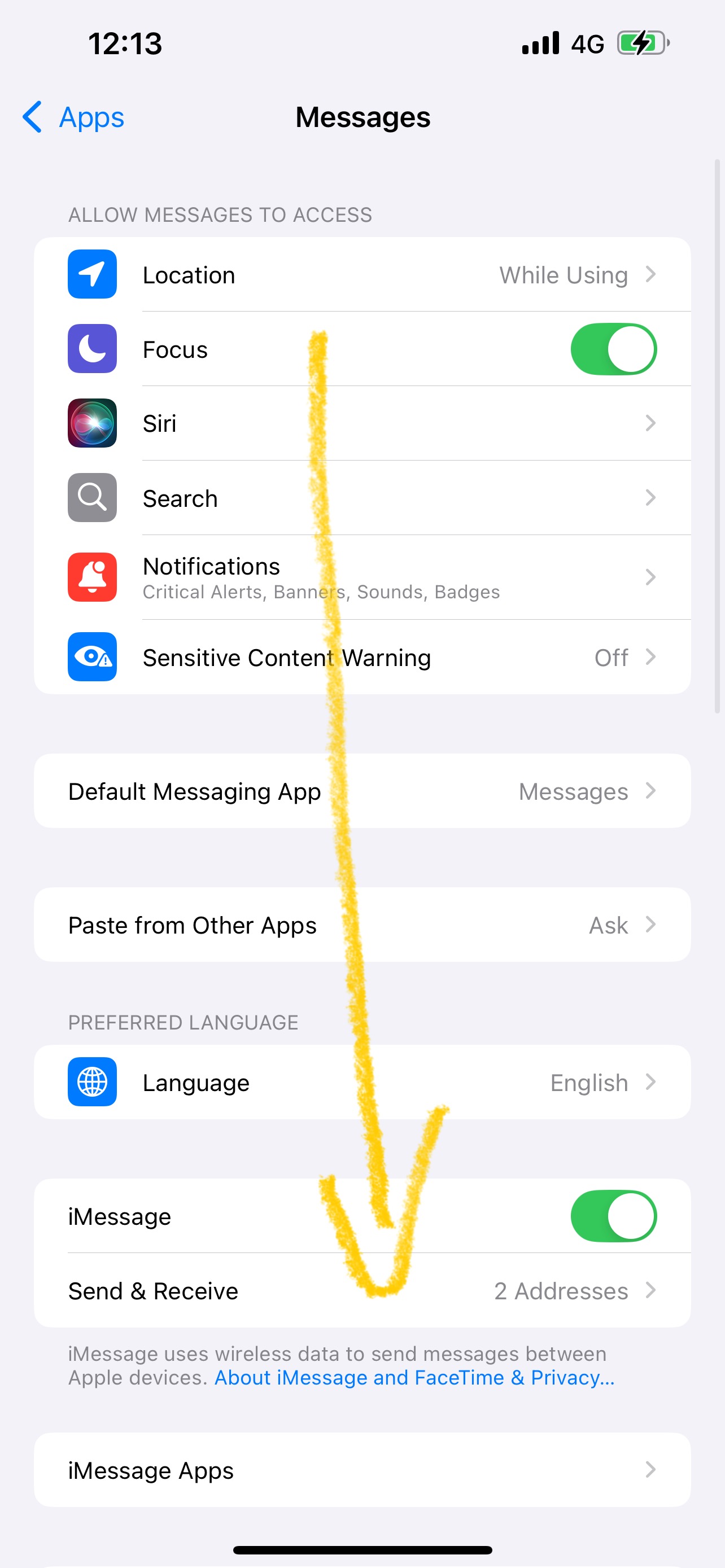 步驟 4：開啟 iMessage 並進入 Send & Receive